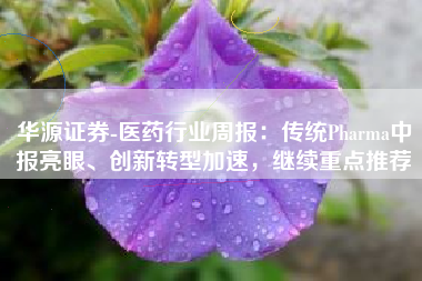 华源证券-医药行业周报：传统Pharma中报亮眼、创新转型加速，继续重点推荐