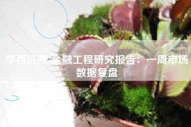 华西证券-金融工程研究报告：一周市场数据复盘