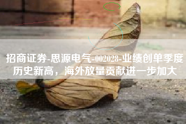 招商证券-思源电气-002028-业绩创单季度历史新高，海外放量贡献进一步加大