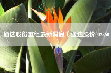 通达股份重组最新消息（通达股份002560）