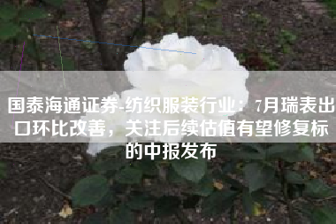 国泰海通证券-纺织服装行业：7月瑞表出口环比改善，关注后续估值有望修复标的中报发布