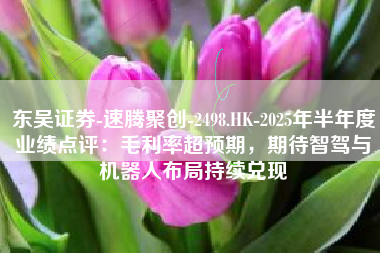 东吴证券-速腾聚创-2498.HK-2025年半年度业绩点评：毛利率超预期，期待智驾与机器人布局持续兑现