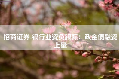 招商证券-银行业资负跟踪：政金债融资上量