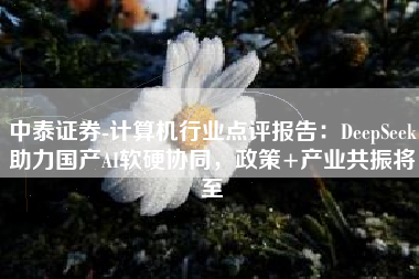 中泰证券-计算机行业点评报告：DeepSeek助力国产AI软硬协同，政策+产业共振将至