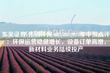东吴证券-伟明环保-603568-2025年中报点评：环保运营稳健增长，设备订单高增，新材料业务陆续投产
