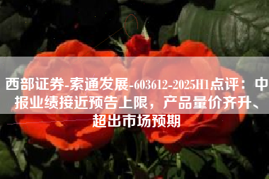 西部证券-索通发展-603612-2025H1点评：中报业绩接近预告上限，产品量价齐升、超出市场预期