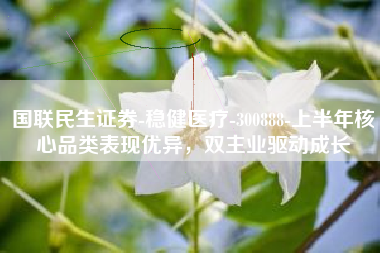 国联民生证券-稳健医疗-300888-上半年核心品类表现优异，双主业驱动成长