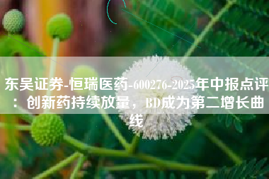 东吴证券-恒瑞医药-600276-2025年中报点评：创新药持续放量，BD成为第二增长曲线
