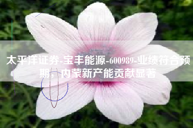 太平洋证券-宝丰能源-600989-业绩符合预期，内蒙新产能贡献显著