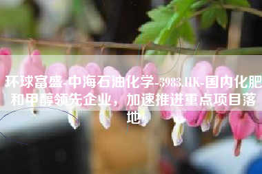 环球富盛-中海石油化学-3983.HK-国内化肥和甲醇领先企业，加速推进重点项目落地