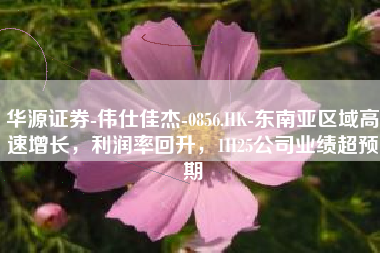 华源证券-伟仕佳杰-0856.HK-东南亚区域高速增长，利润率回升，1H25公司业绩超预期