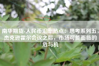 南华期货-人民币汇率热点：思考系列五，杰克逊霍尔会议之后，市场可能面临的危与机