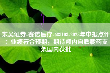 东吴证券-赛诺医疗-688108-2025年中报点评：业绩符合预期，期待颅内自膨载药支架国内获批