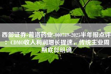 西部证券-普洛药业-000739-2025半年报点评：CDMO收入利润增长提速，传统主业周期底部明确
