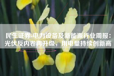 民生证券-电力设备及新能源行业周报：光伏反内卷再升级，用电量持续创新高