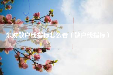 东财散户线指标怎么看（散户线指标）