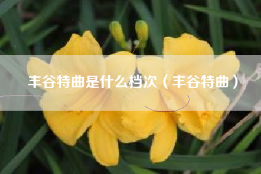 丰谷特曲是什么档次（丰谷特曲）