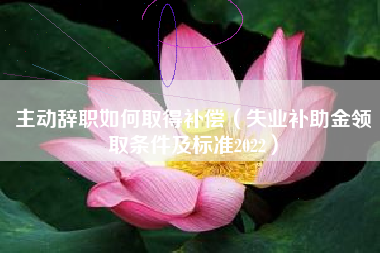 主动辞职如何取得补偿（失业补助金领取条件及标准2022）