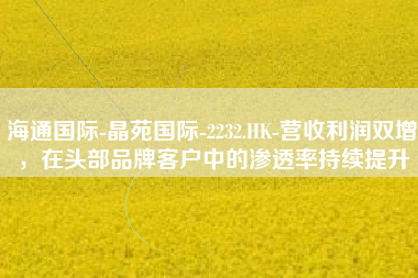 海通国际-晶苑国际-2232.HK-营收利润双增，在头部品牌客户中的渗透率持续提升