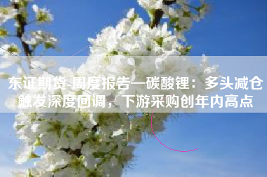 东证期货-周度报告—碳酸锂：多头减仓触发深度回调，下游采购创年内高点