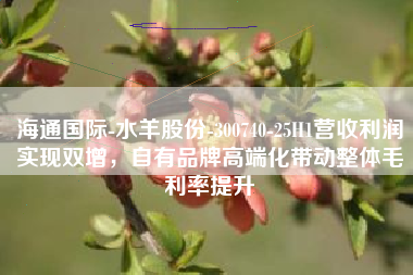 海通国际-水羊股份-300740-25H1营收利润实现双增，自有品牌高端化带动整体毛利率提升