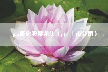 pta概念股票龙头（pta 上市公司）