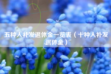 五种人补发退休金一览表（十种人补发退休金）