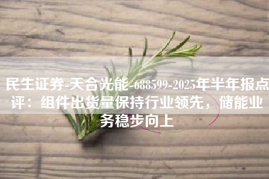 民生证券-天合光能-688599-2025年半年报点评：组件出货量保持行业领先，储能业务稳步向上