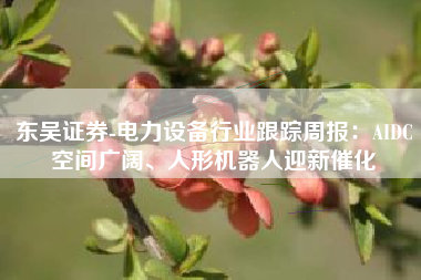 东吴证券-电力设备行业跟踪周报：AIDC空间广阔、人形机器人迎新催化