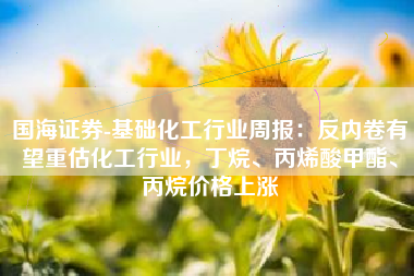 国海证券-基础化工行业周报：反内卷有望重估化工行业，丁烷、丙烯酸甲酯、丙烷价格上涨