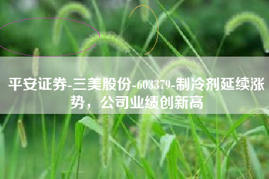 平安证券-三美股份-603379-制冷剂延续涨势，公司业绩创新高