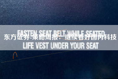 东方证券-策略周报：继续看好国内科技