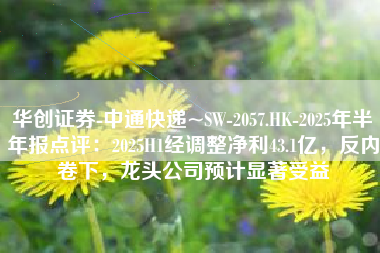 华创证券-中通快递~SW-2057.HK-2025年半年报点评：2025H1经调整净利43.1亿，反内卷下，龙头公司预计显著受益