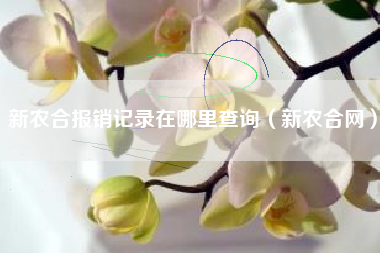 新农合报销记录在哪里查询（新农合网）