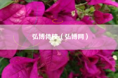 弘博体校（弘博网）