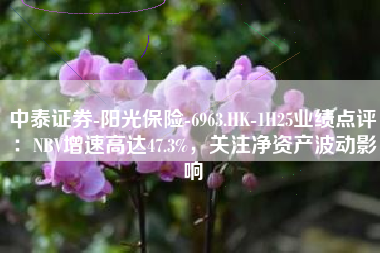 中泰证券-阳光保险-6963.HK-1H25业绩点评：NBV增速高达47.3%，关注净资产波动影响