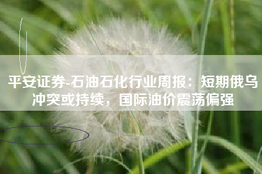 平安证券-石油石化行业周报：短期俄乌冲突或持续，国际油价震荡偏强