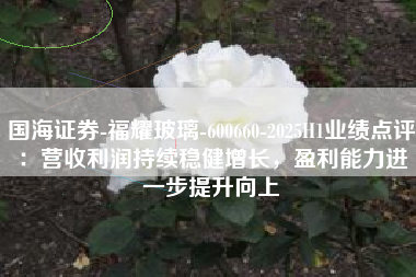国海证券-福耀玻璃-600660-2025H1业绩点评：营收利润持续稳健增长，盈利能力进一步提升向上