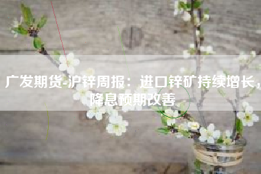 广发期货-沪锌周报：进口锌矿持续增长，降息预期改善