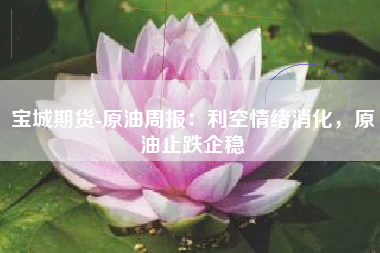 宝城期货-原油周报：利空情绪消化，原油止跌企稳