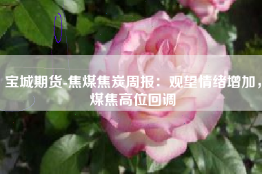 宝城期货-焦煤焦炭周报：观望情绪增加，煤焦高位回调