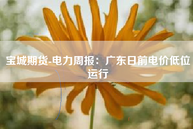 宝城期货-电力周报：广东日前电价低位运行