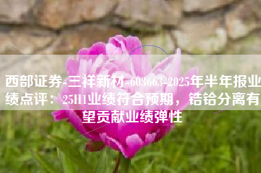 西部证券-三祥新材-603663-2025年半年报业绩点评：25H1业绩符合预期，锆铪分离有望贡献业绩弹性