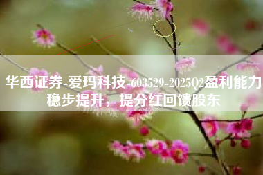 华西证券-爱玛科技-603529-2025Q2盈利能力稳步提升，提分红回馈股东