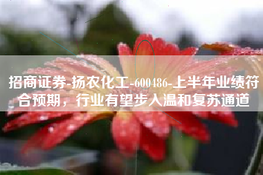 招商证券-扬农化工-600486-上半年业绩符合预期，行业有望步入温和复苏通道