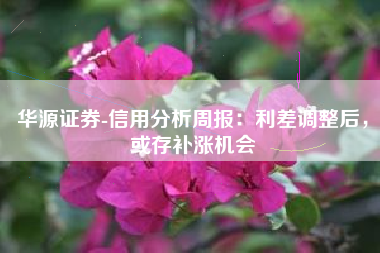 华源证券-信用分析周报：利差调整后，或存补涨机会