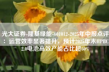 光大证券-隆基绿能-601012-2025年中报点评：运营效率显著提升，预计2025年末HPBC2.0电池高效产能占比超60%