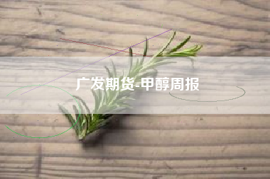 广发期货-甲醇周报