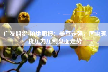 广发期货-粕类周报：美豆走强，国内现货压力压制盘面走势