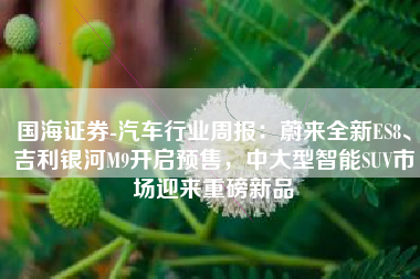 国海证券-汽车行业周报：蔚来全新ES8、吉利银河M9开启预售，中大型智能SUV市场迎来重磅新品